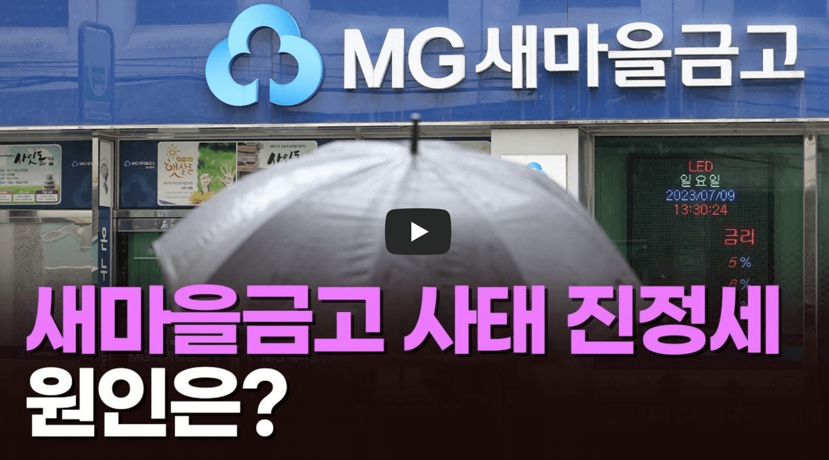 새마을금고 사태 뉴스 영상 섬네일