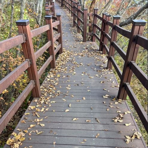 안산 둘레길