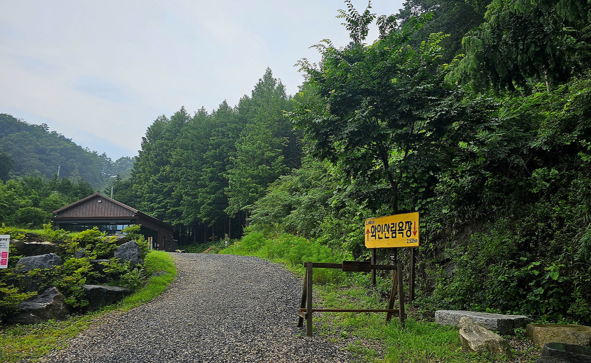 옥천 1인 가구에 맞는 동네 추천 — 실제 생활 기준으로 보는 현실적인 선택지