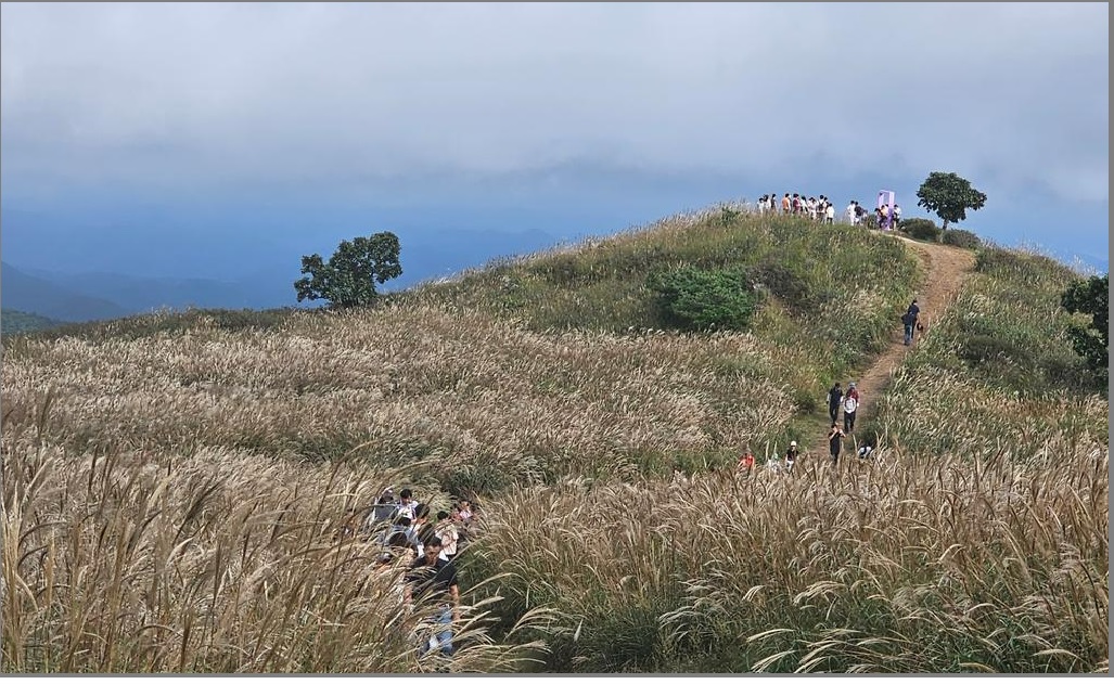 황매산 억새축제