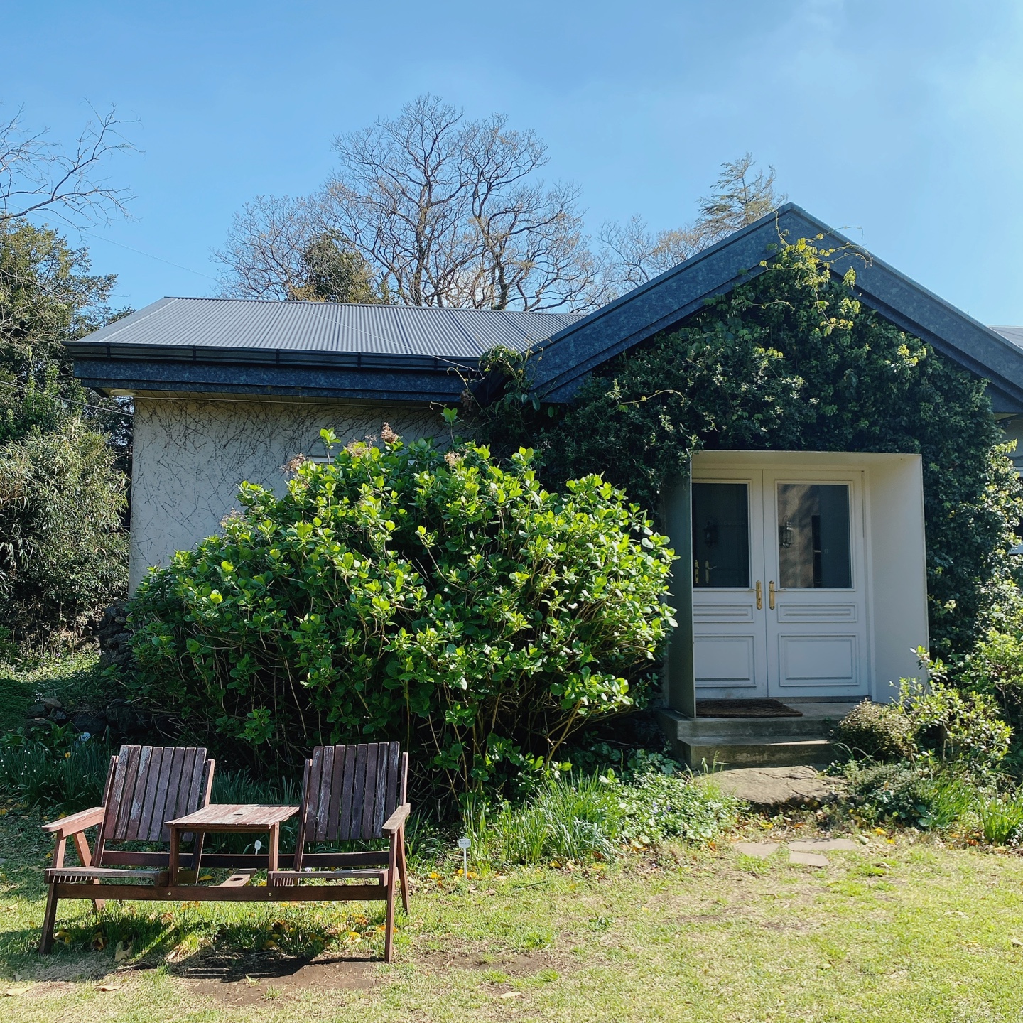 제주 조천 스위스마을 백종원의 3대천왕 당근케이크 구좌상회 카페