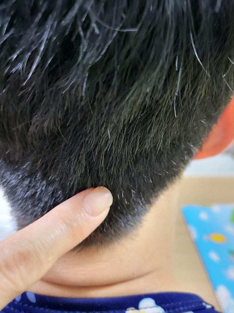 새치 염색