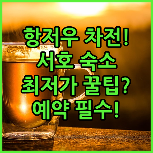 항저우 차 문화 성지 특별전 서호 인..