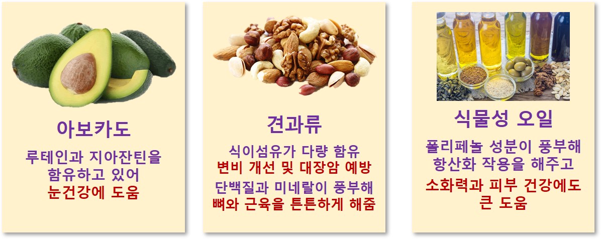 콜레스테롤