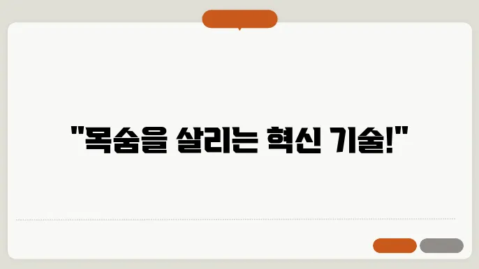 자동차 안전 벨트와 에어백 시스템의 진화