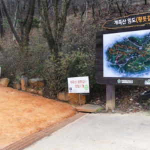 계족산 황톳길 코스