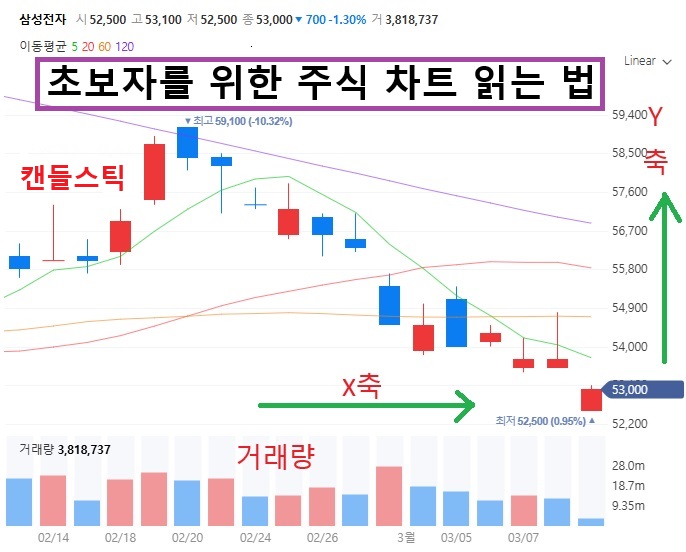 초보자를 위한 주식 차트 읽는 법