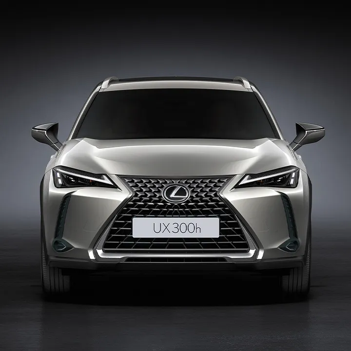 렉서스 UX300h 2WD 정보 이미지