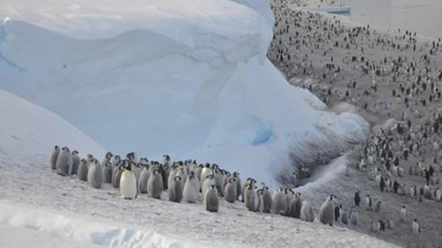 Antarctic Average Temperature Spikes