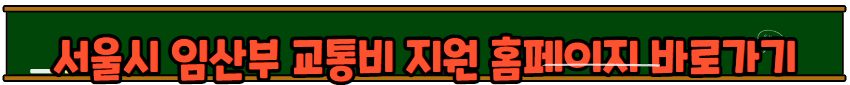 임산부교통비지원 사업 신청방법