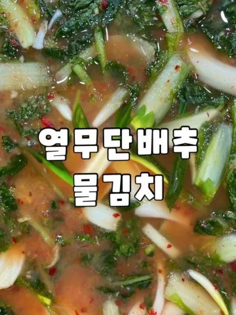 열무 물김치 담그기 군내 제거 황금비율 가이드_6