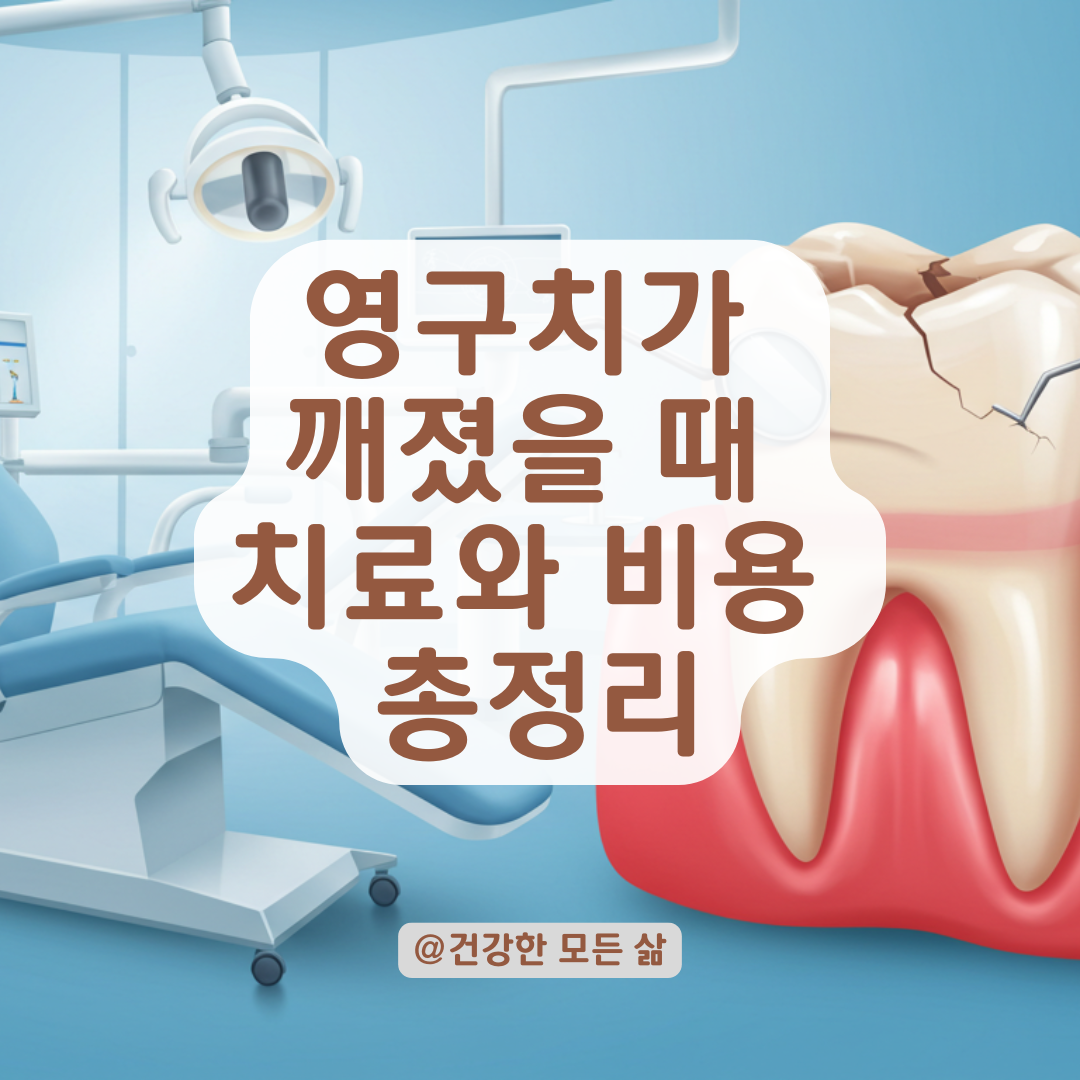 영구치가 반쯤 깨졌다면? 치과 치료 종류와 예상 비용까지 알아보기.
