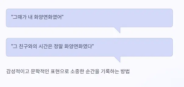 일상 속 화양연화