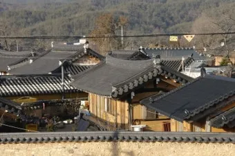 농한기 수익 아이템 건조채소 장아찌 씨앗판매 체험농장_7