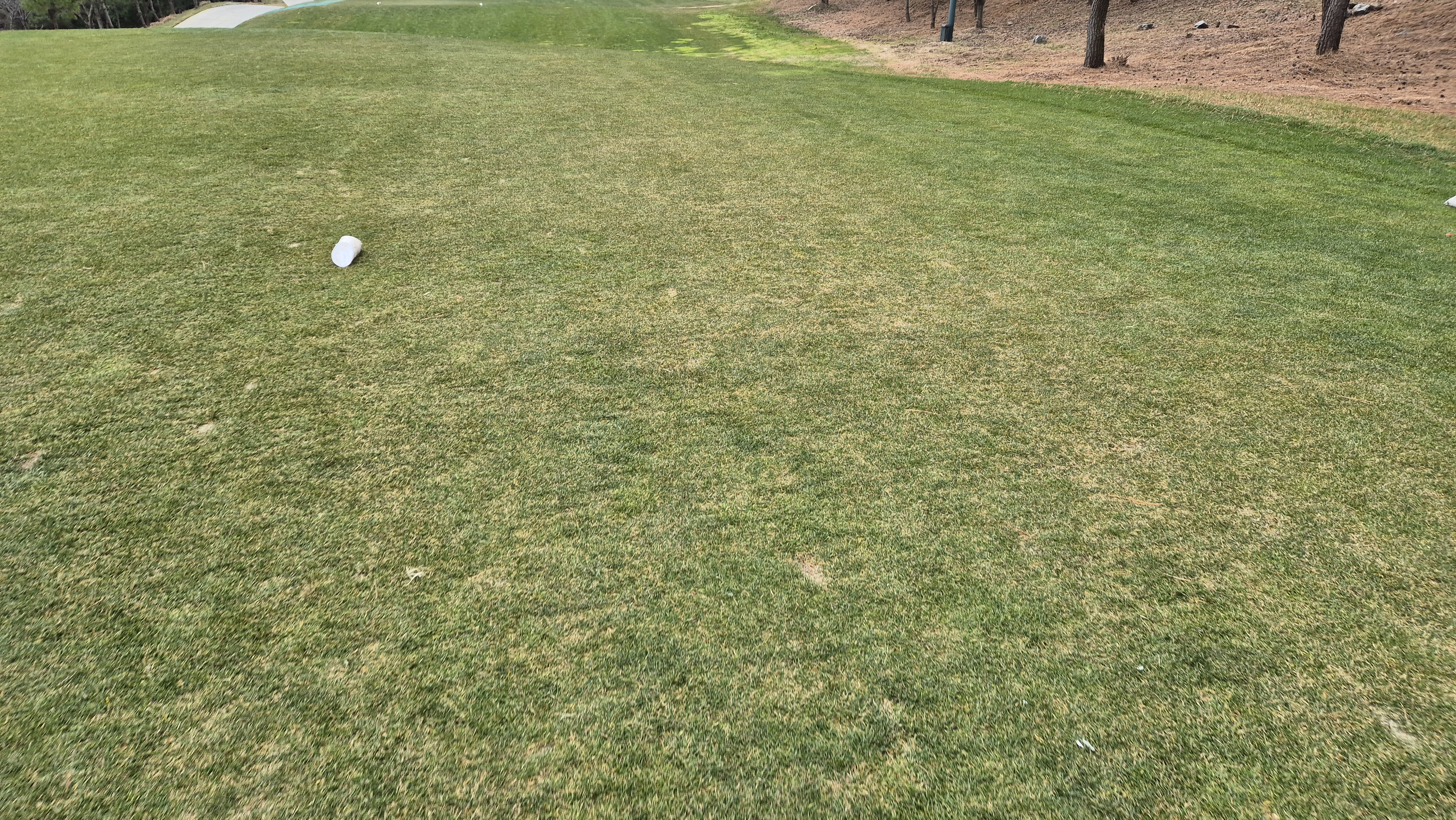 더헤븐cc 사우스-웨스트 코스 티잉구역 상태