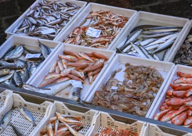 대한민국-수산대전-수산시장-생선-사진