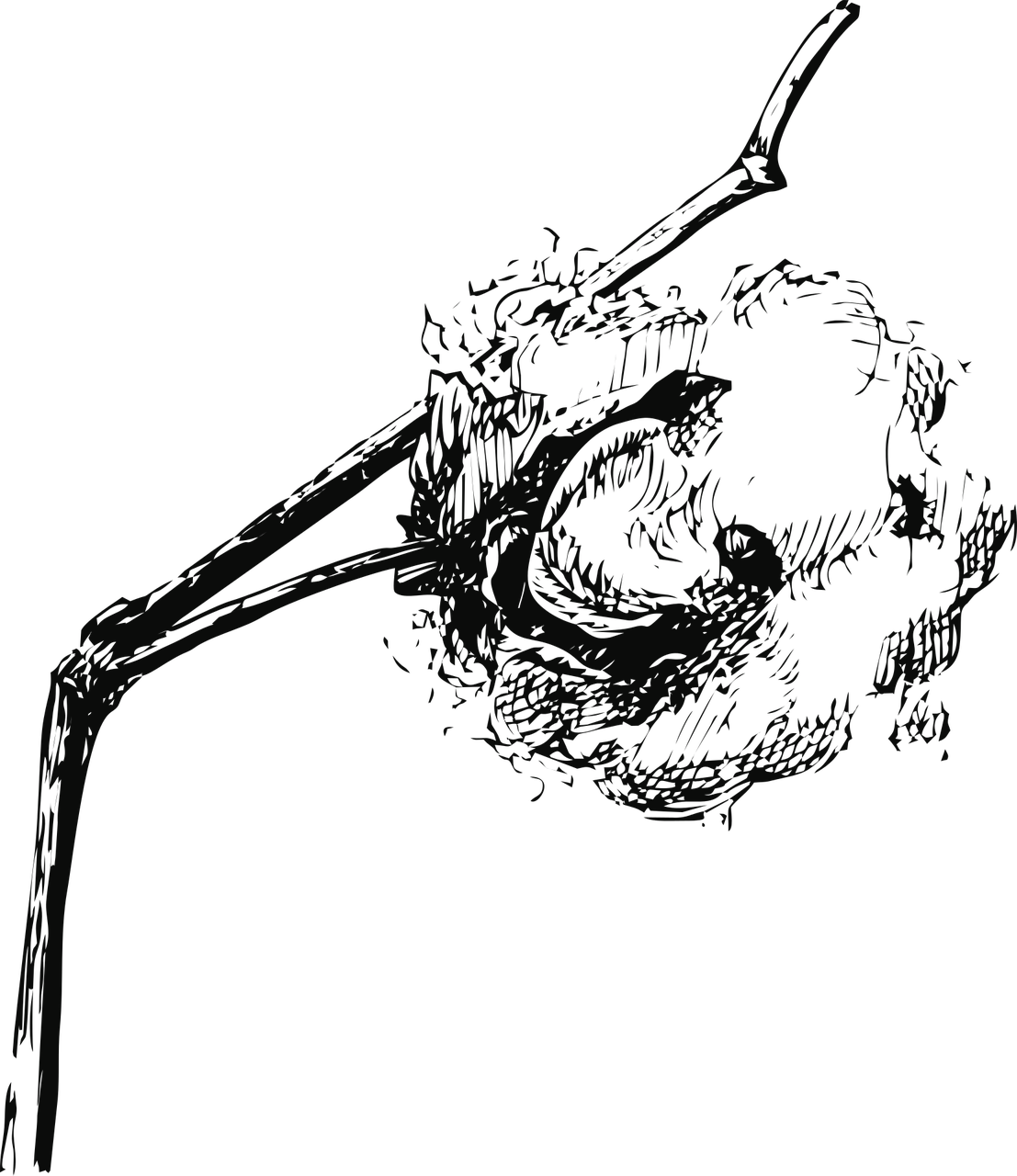 식물성 섬유의 분류