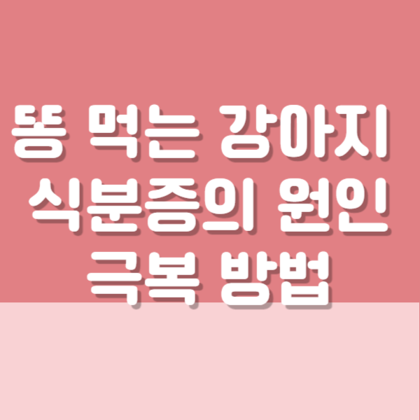 똥먹는 강아지 식분증 원인과 극복방법