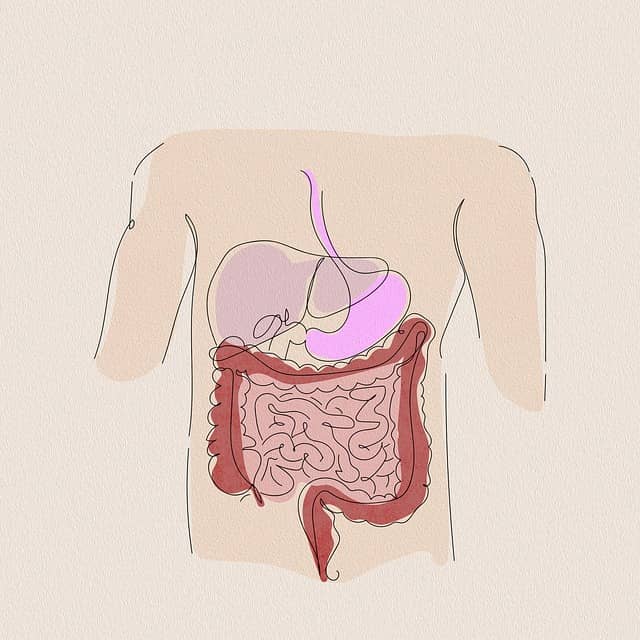 장이 보내는 위험 신호 7가지 – 무시하면 안 되는 증상