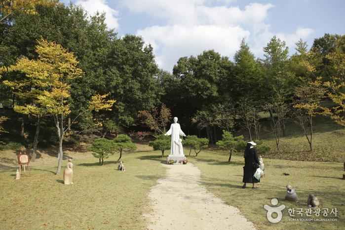 남양성모성지