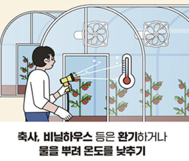 2025 서울 폭염 대비 필수 정보 총정리