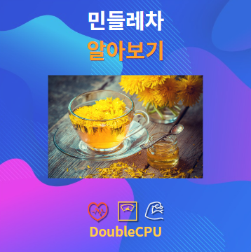 민들레차 알아보기