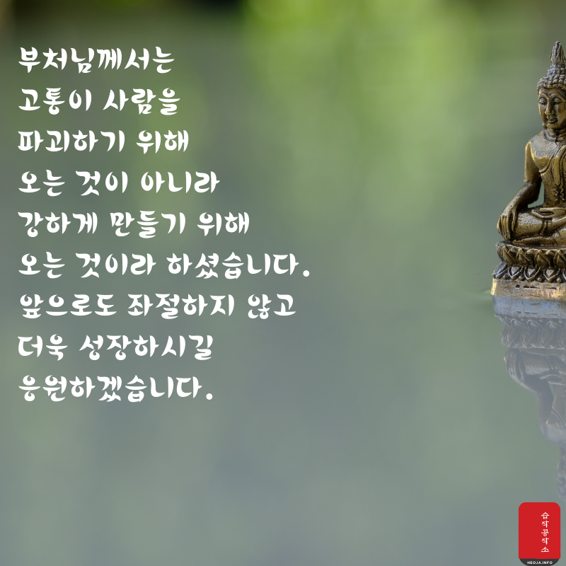 부처님 오신 날 인사말 문구 이미지 모음집