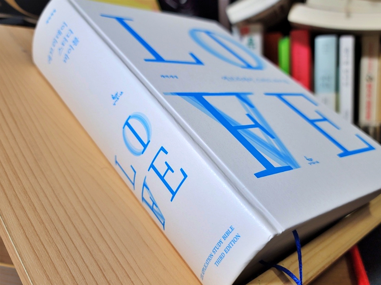 에브리데이 스터디 바이블