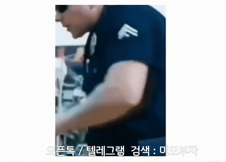 움짤