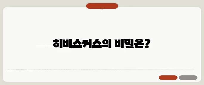 히비스커스 효능 제대로 알기 다이어트에 인기 많은 이유