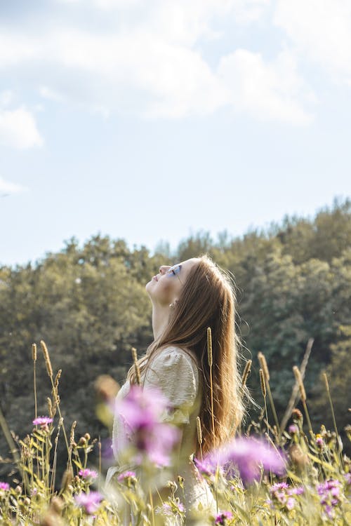 휴식