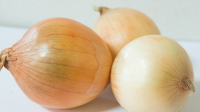 양파2