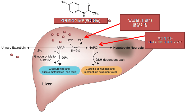 타이레놀 부작용
