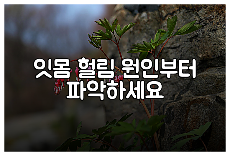 잇몸 헐림 원인부터 파악하세요