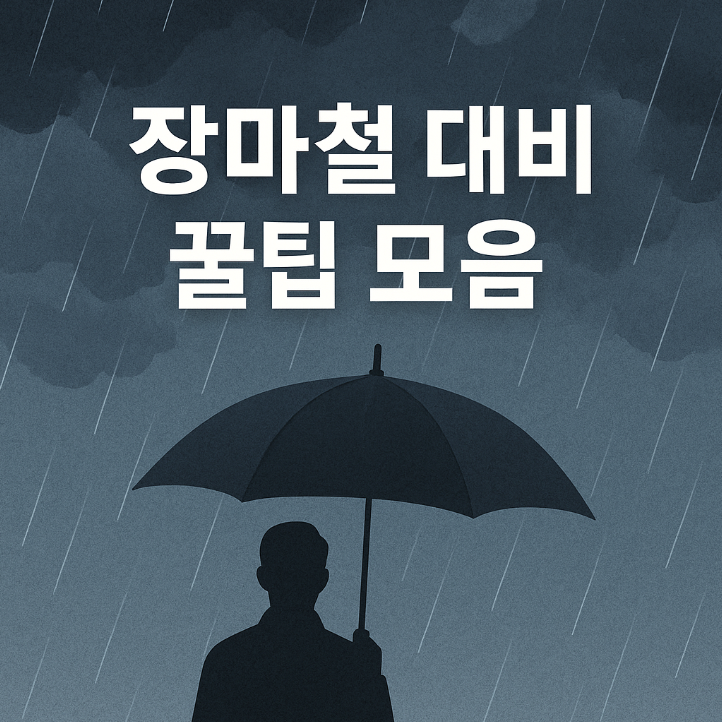 장마철 대비 꿀팁 모음: 몰랐던 생활 팁까지!