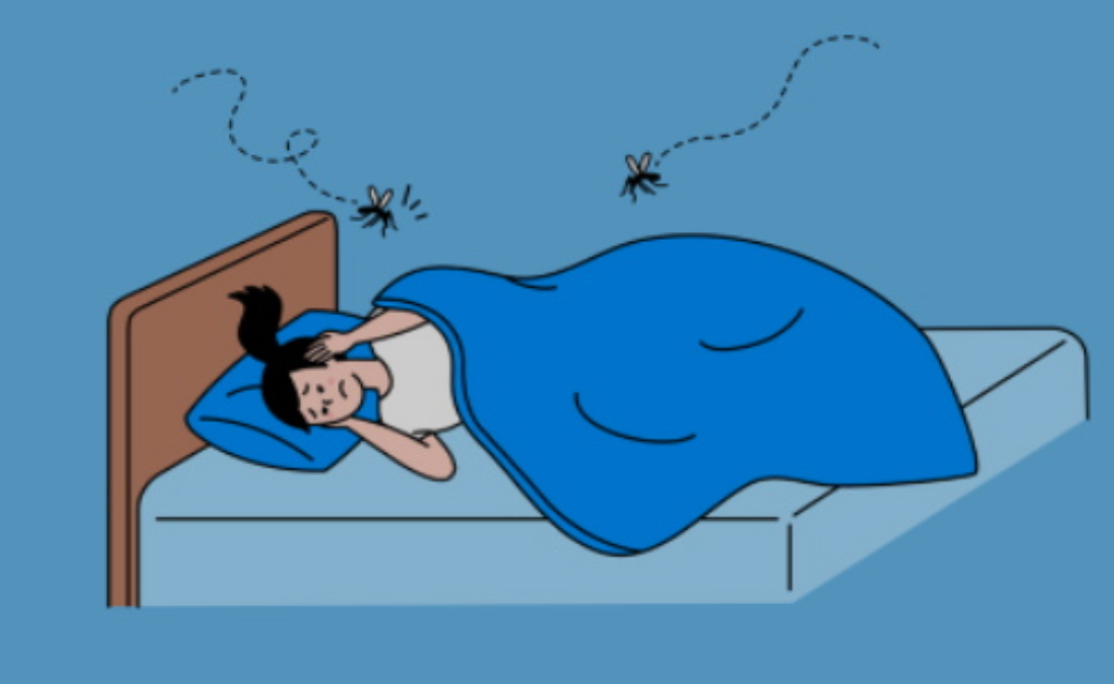 밤중에 방안 침대에 모기가 날아다니는 사진