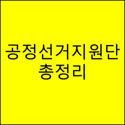 공정선거지원단 총정리 썸네일