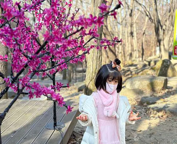 비슬산 치유의숲