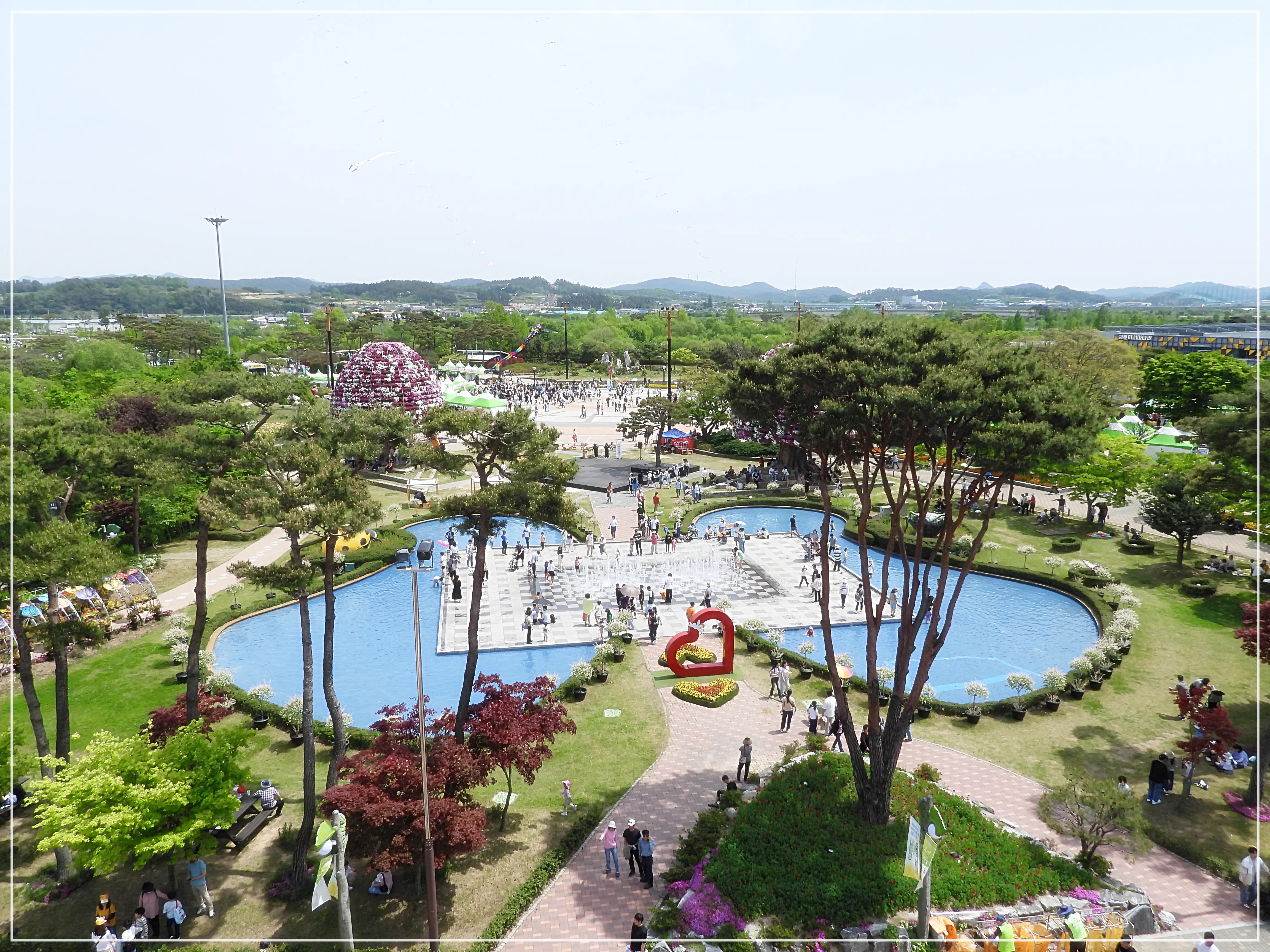 함평나비대축제