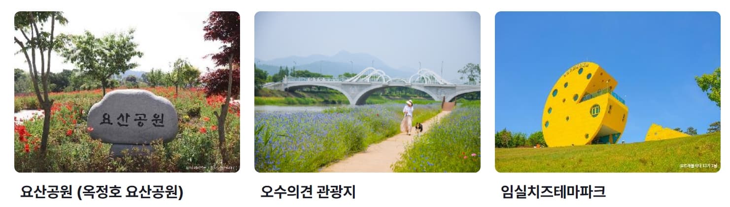 [지역 봄 축제]임실 옥정호 벚꽃축제 2025｜출렁다리와 함께 피어난 봄날의 추억