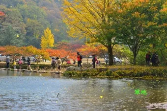 가을 단풍 여행지 베스트10 산책로 사진스팟 대중교통으로 여유롭게_17