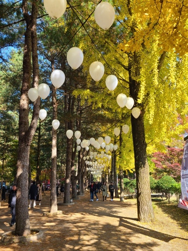 2024 가을 단풍 명소 7곳 소개