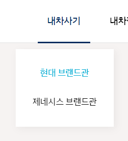 내차사기 목록 사진