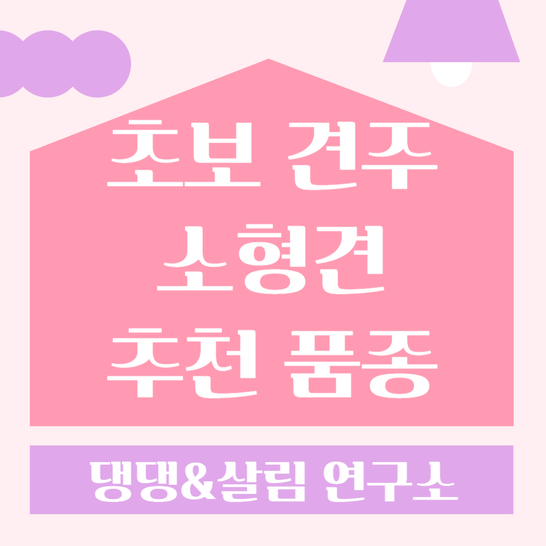 소형견추천
