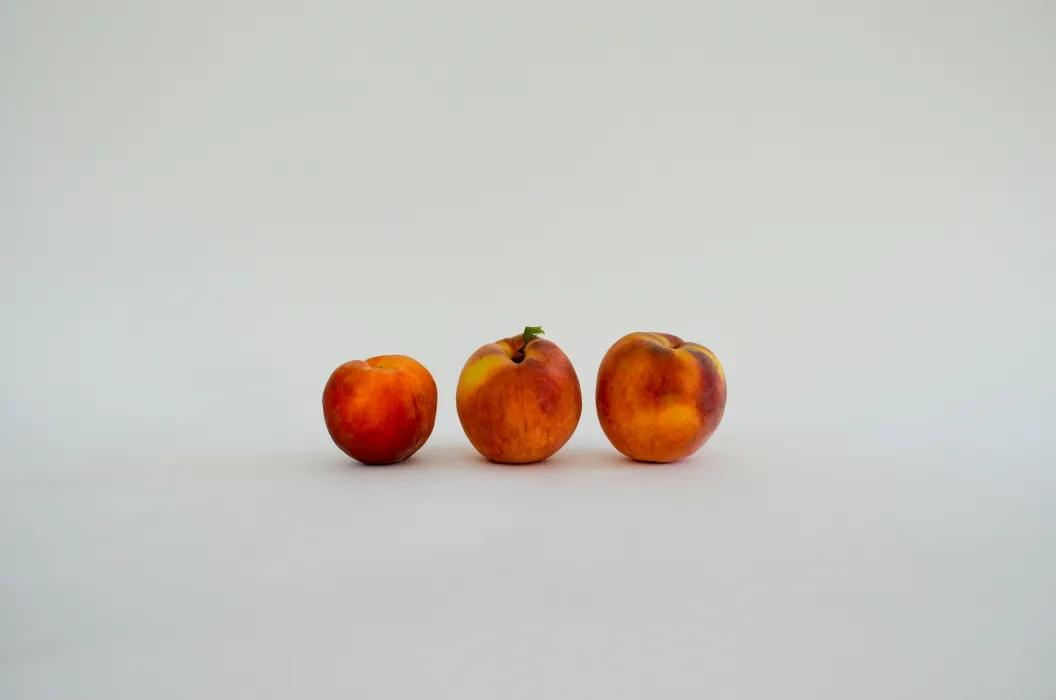 복숭아-열매-효능-부작용-하루-섭취량-관련-사진