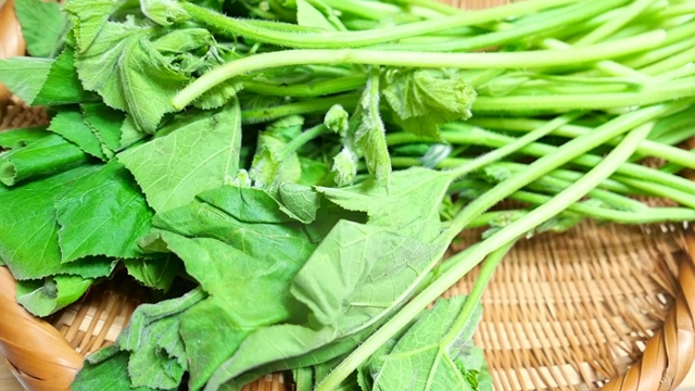 호박잎손질모습