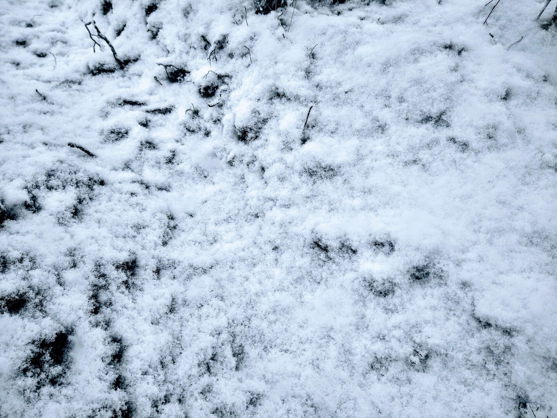 ❄️ 눈 오는 꿈 해몽 총정리|상황별 의미와 길몽, 흉몽 해석