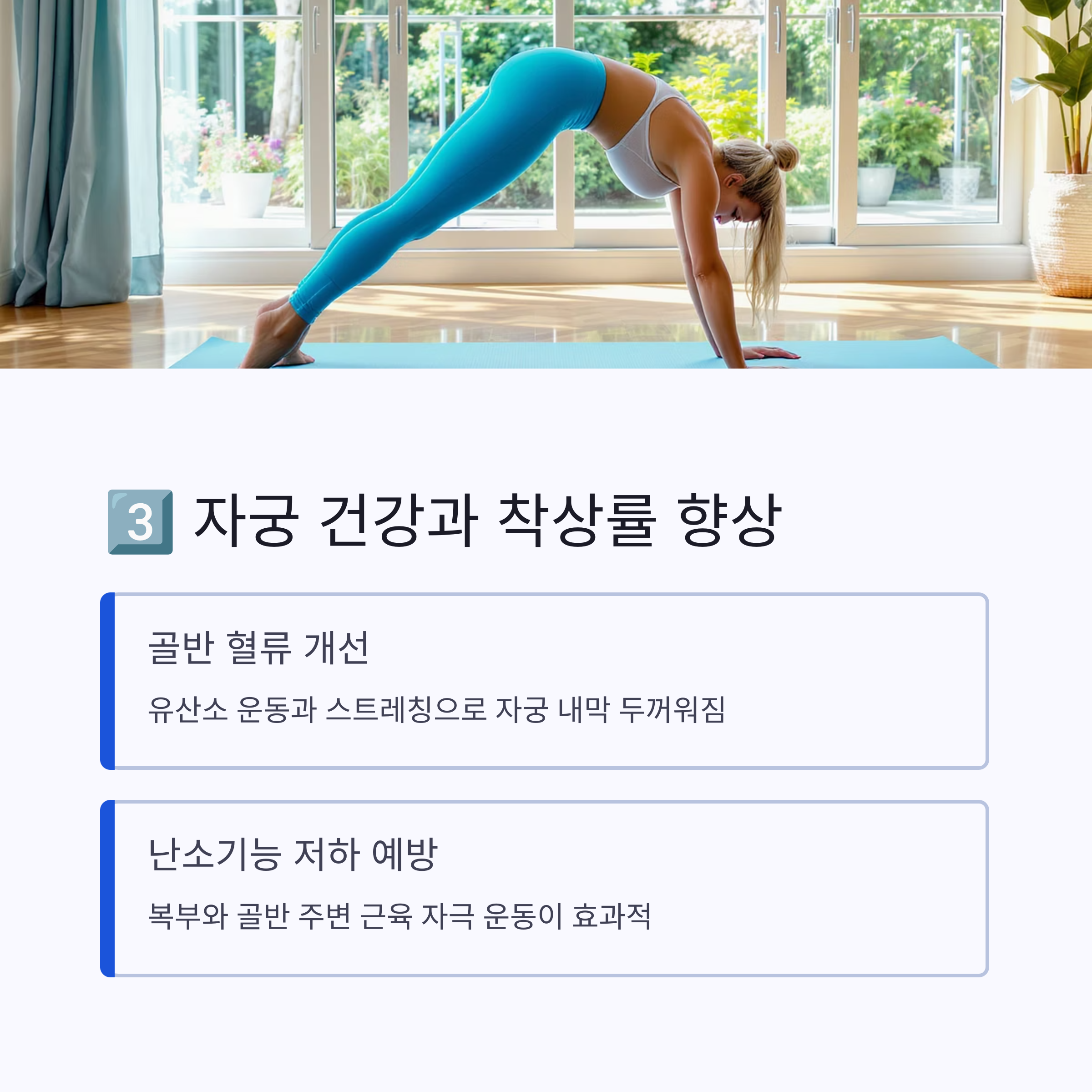 플랭크 자세를 취하고 있는 여성의 모습과 함께, 자궁 혈류 개선 및 착상률 향상을 위한 골반 운동의 효과를 설명한 인포그래픽 이미지