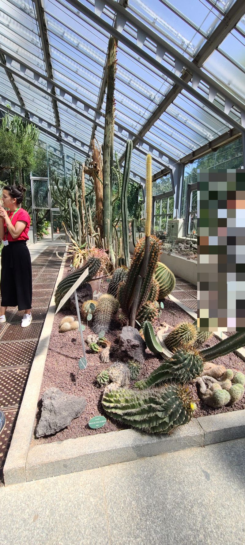 마드리드 왕립식물원 온실