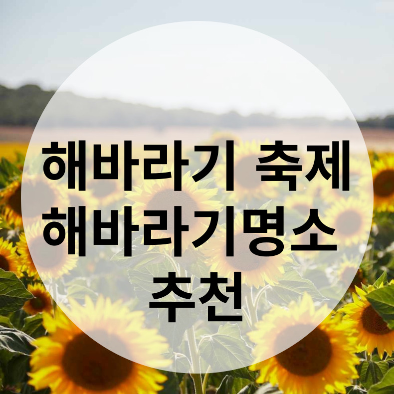 해바라기 명소 추천